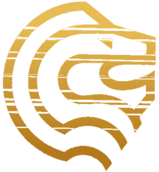 1irstGold crypto logo