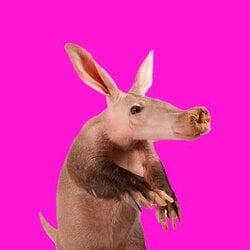 Aardvark logo Aardvark crypto logo