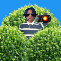 Ansem Wif Photographer logo Ansem Wif Photographer crypto logo