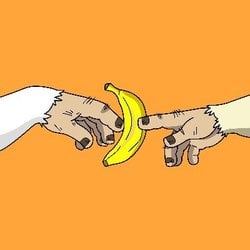 Apes Go Bananas crypto logo