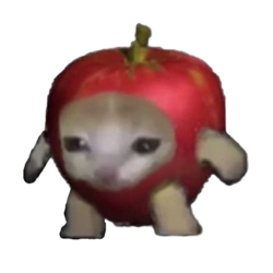 Apple Cat crypto logo