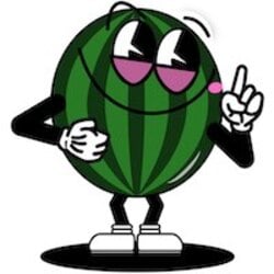 ARBUZ logo ARBUZ crypto logo