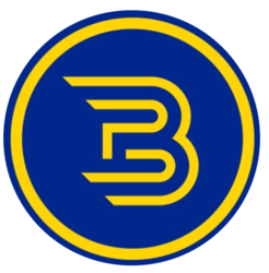 B Non-Fungible Yearn crypto logo