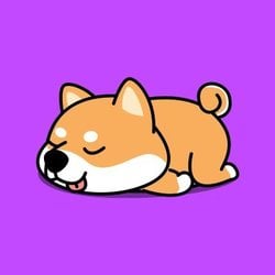 Baby Akita crypto logo