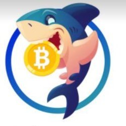 Baby KShark logo Baby KShark crypto logo