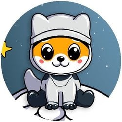 Baby Moon Floki logo Baby Moon Floki crypto logo