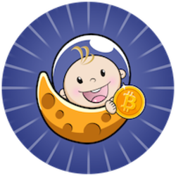 Baby Satoshi crypto logo