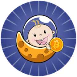 Baby Satoshi logo Baby Satoshi crypto logo