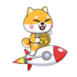 Baby Shiba Rocket crypto logo