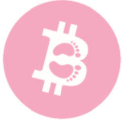 BabyBitcoin crypto logo