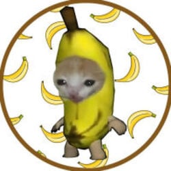 BananaCat crypto logo