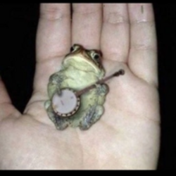 Banjo logo Banjo crypto logo