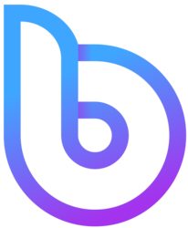 bDollar Share crypto logo