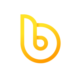 bDollar coin logo
