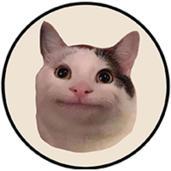 Beluga Cat logo Beluga Cat crypto logo