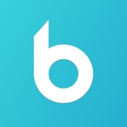 BeNative crypto logo
