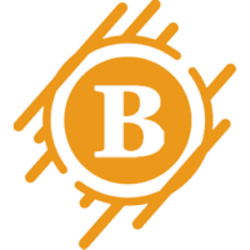 Big Coin crypto logo