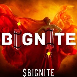 Bignite crypto logo