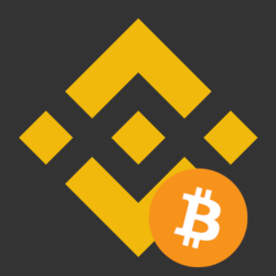 Binance Bitcoin logo Binance Bitcoin crypto logo