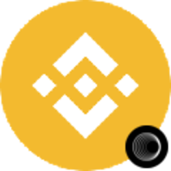 Binance Coin (Wormhole) crypto logo
