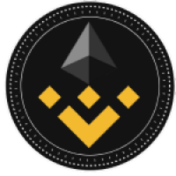 Binance Multi-Chain Capital crypto logo