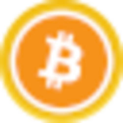 Binance Wrapped BTC crypto logo