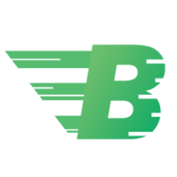 BitcashPay crypto logo