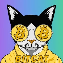 Bitcat crypto logo