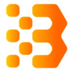 Bitcoin and Ethereum Standard coin logo