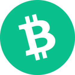 Bitcoin Cash coin logo