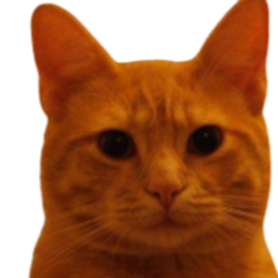 Bitcoin Cat logo Bitcoin Cat crypto logo
