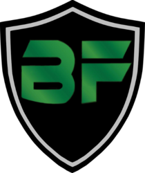 Bitcoin Final logo Bitcoin Final crypto logo