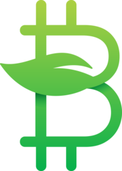 Bitcoin Green logo Bitcoin Green crypto logo