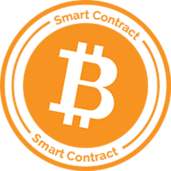 Bitcoin Networks crypto logo