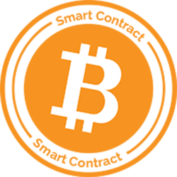Bitcoin Networks logo Bitcoin Networks crypto logo