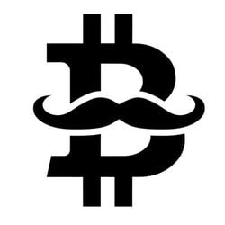 Bitcoin Stash crypto logo
