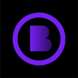 BitcoinZK logo BitcoinZK crypto logo