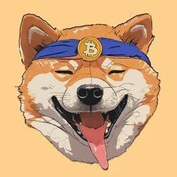 BitDoge logo BitDoge crypto logo