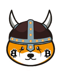 bitFloki crypto logo