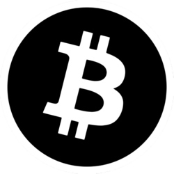 Bitnet IO crypto logo