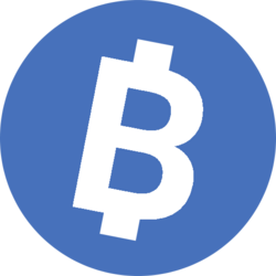 Bitnet crypto logo