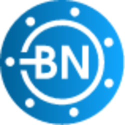 Bitnorm crypto logo