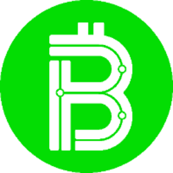 Bitocoin crypto logo