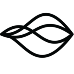 Bitriver crypto logo