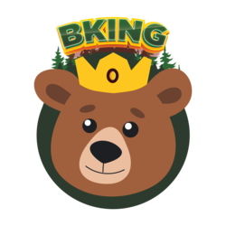 BKING Finance crypto logo