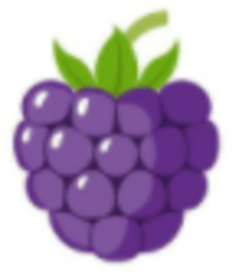 Blackberry Token crypto logo