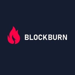 BlockBurn crypto logo