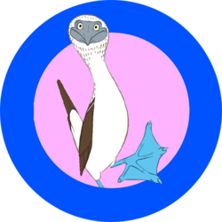 Blue-Footed Booby logo Blue-Footed Booby crypto logo
