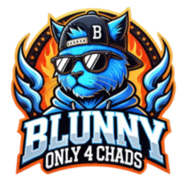 Blunny logo Blunny crypto logo