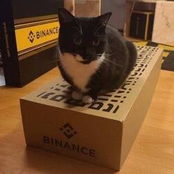 Binance Cat logo Binance Cat crypto logo